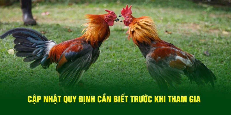 Cập nhật quy định cần biết trước khi tham gia