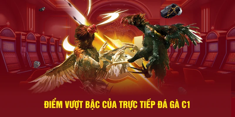 Điểm vượt bậc của trực tiếp đá gà C1