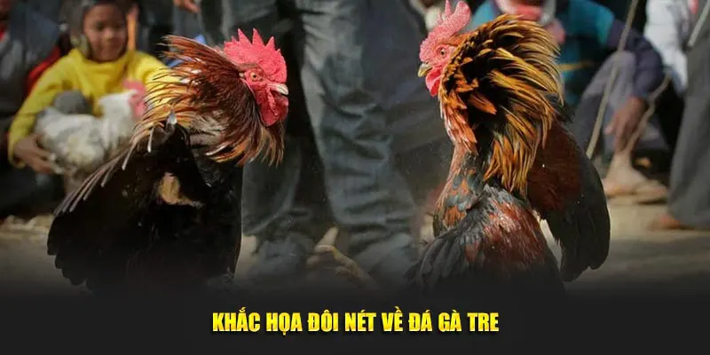 Khắc họa đôi nét về đá gà tre